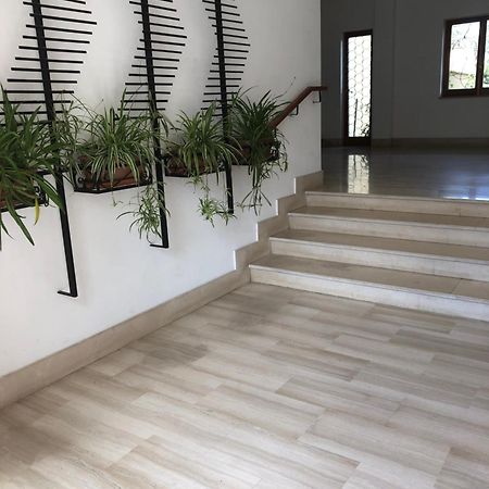 Appartamento Le Zagare Sorrento Exterior photo